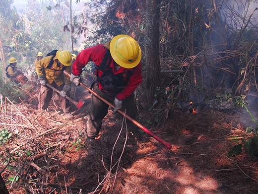 Incendios forestales