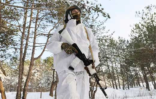 Rusia anuncia la toma 