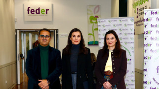Imagen de la reunión de trabajo de la Reina Letizia con la Junta Directiva y el equipo profesional de la Federación Española de Enfermedades Raras (FEDER).