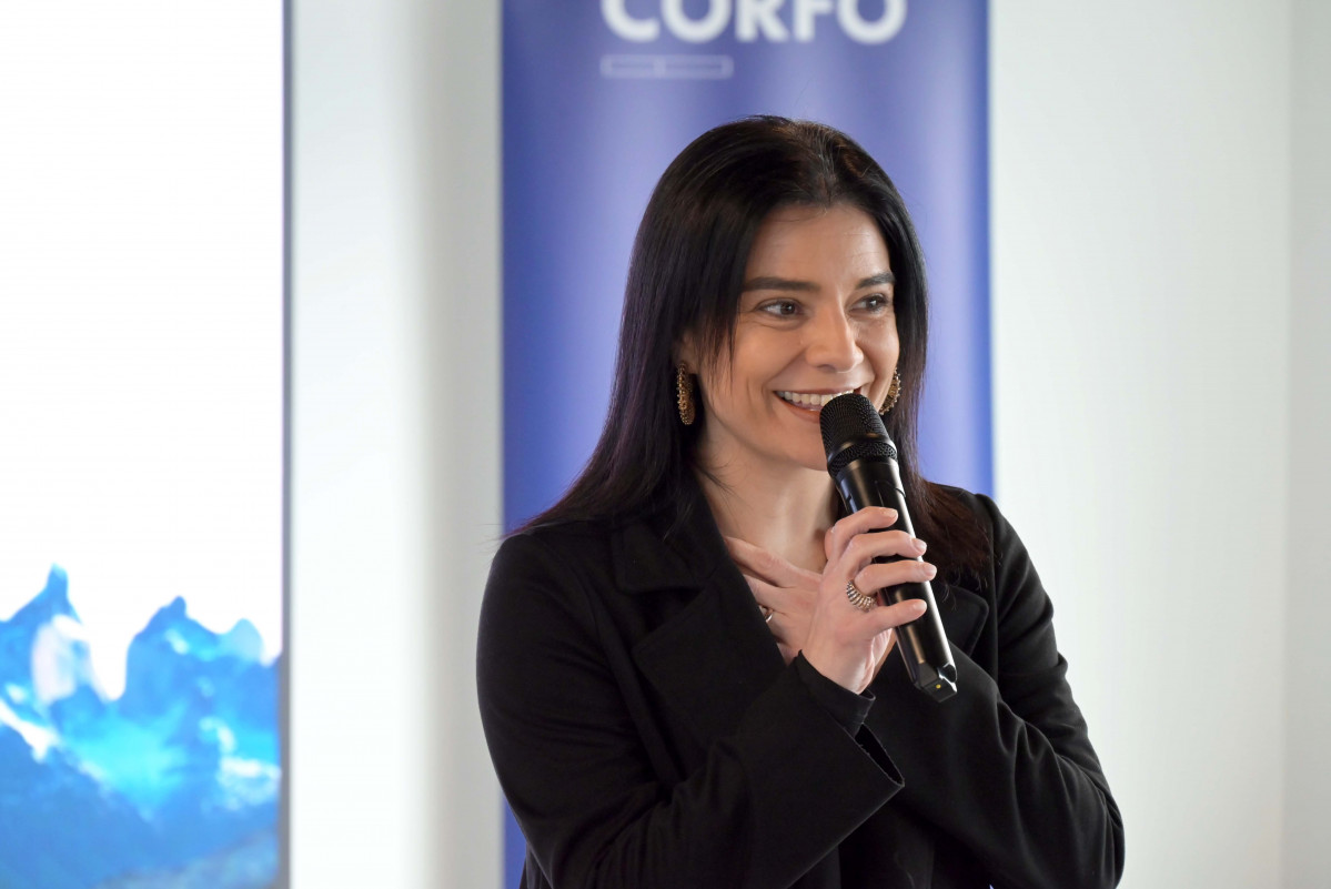 Maricho Gu00e1lvez   Grta Emprendimiento Corfo