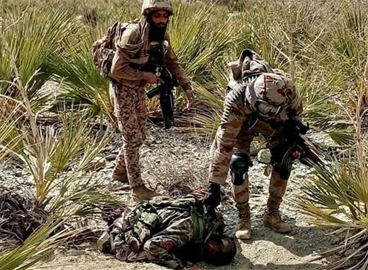 Consejo de Seguridad condena