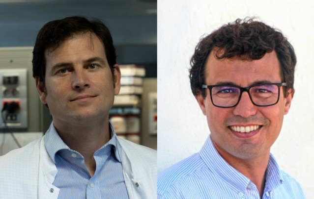 El CNIC muestra que los betabloqueantes no aportan beneficio tras un infarto de miocardio