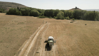 Archivo - Campo de cultivo en Atienza.