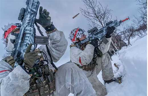 Paiu0301ses au0301rticos