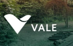 EuropaPress 6531623 brasilena vale