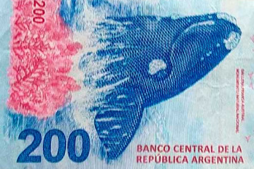 Peso Argentino2