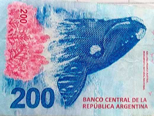 Peso Argentino2