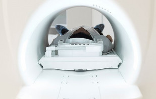 Cámara hiperbárica.