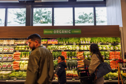 The Fresh Market Cencosud 5