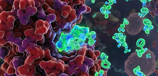 Imagen de una representación del proyecto.