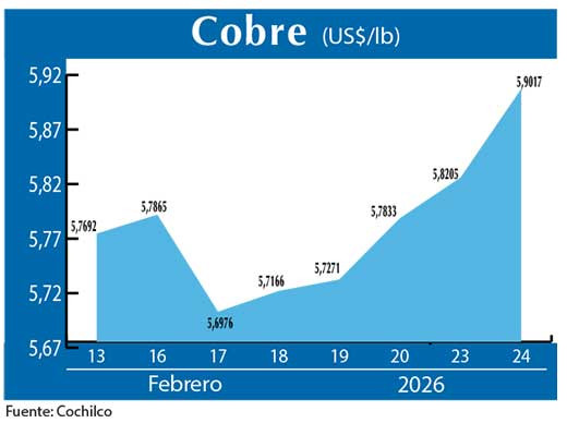 COBRE 24 02 (3)