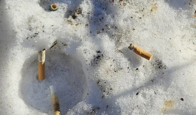 La OMS prevé que la región de Europa y Asia central seguirá siendo la de mayor prevalencia de consumo de tabaco en 2030