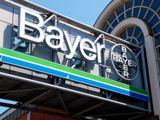 Bayer 2 (1)