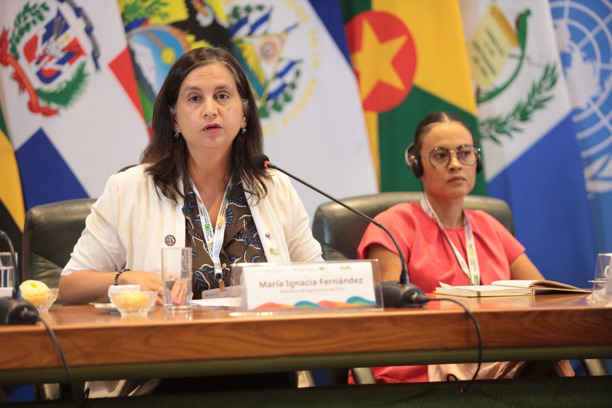 WhatsApp Image 2026 03 05 at 18.37.36 2048x1365