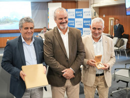 Comités de Desarrollo