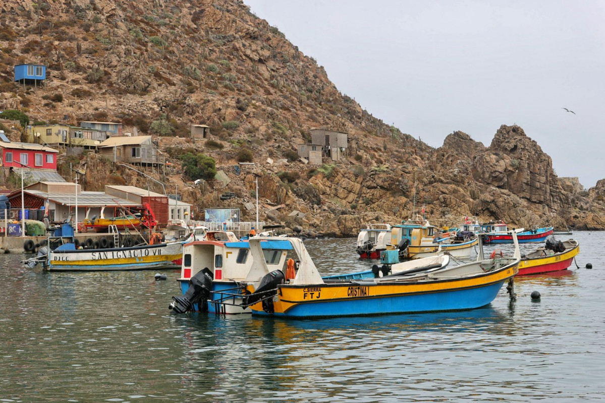 Whatsapp image 2026 03 06 at 15 41 19