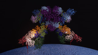 Imagen del modelo de SEA-EGOC anclado en la membrana de la vacuola, con el sitio activo iluminado.