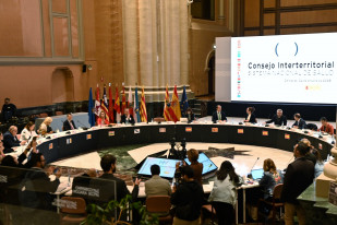 Archivo - La ministra de Sanidad, Mónica García (3d), interviene en el pleno del Consejo Interterritorial del Sistema Nacional de Salud (CISNS), en la sede de la Diputación General de Aragón, a 24