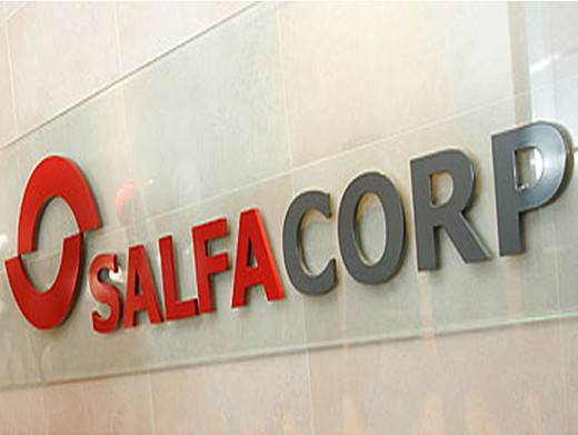 SalfaCorp.web (7)
