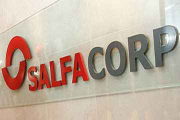SalfaCorp.web (8)