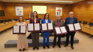 SATSE reclama que la reforma de la LOPS respete el modelo de clasificación profesional acordado en el Estatuto Marco