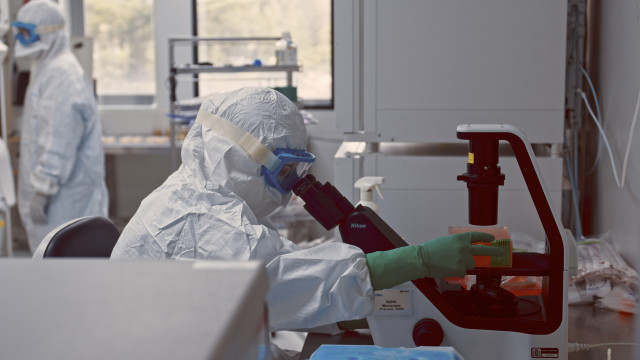 Sala Blanca de la Unidad de Innovación Biomédica del CIEMAT.