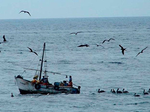 Pesca Jurel ipad (1)