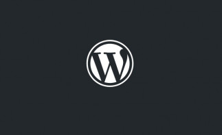 Logo de WordPress.Org