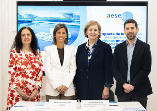 Imagen de la presentación del documento.