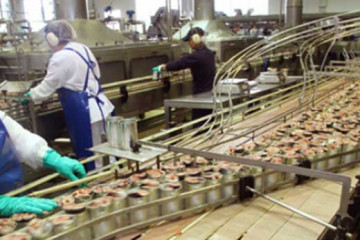 Industria Manufacturera1 (10)