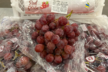 Agromarine exporta a Paises Bajos   ProChile RM