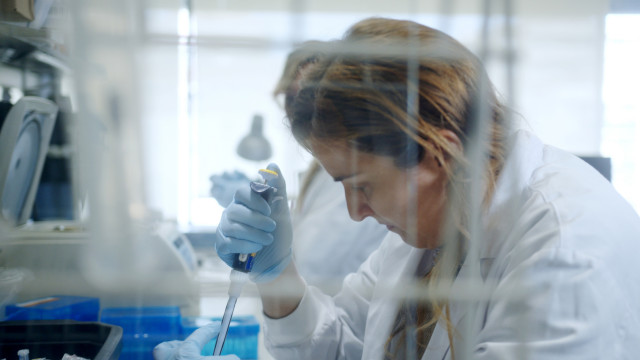 Archivo - Fundación DiabetesCERO lanza dos ayudas de 100.000 euros para la investigación de la cura en la diabetes tipo1.