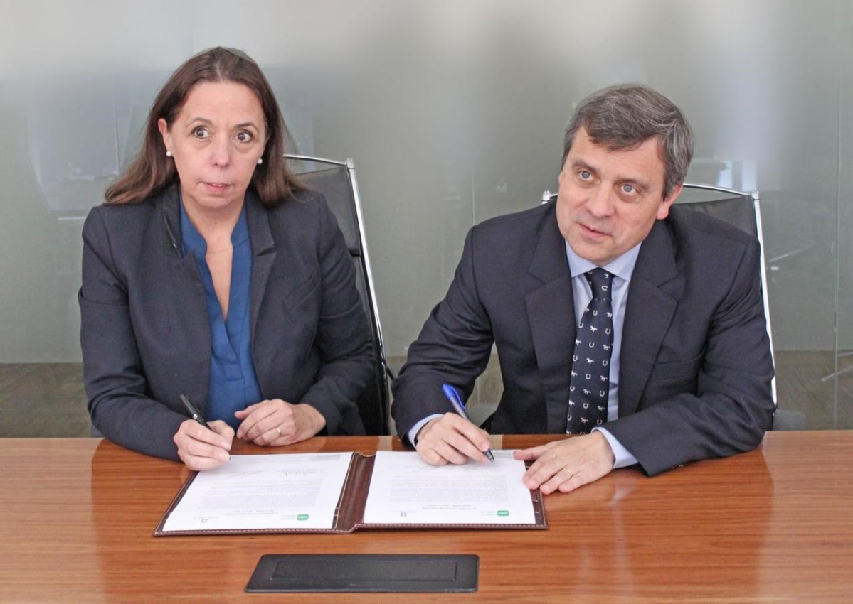 20loR1A3P7Zr0x8xldv8