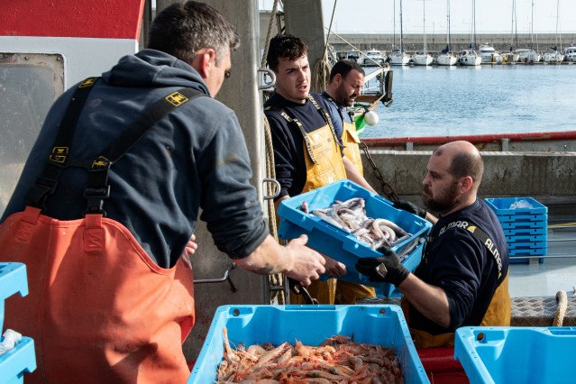 Archivo - Varios pescadores recogen la pesca del día, a 10 de marzo de 2026, en Palamós, Girona, Catalunya (España).