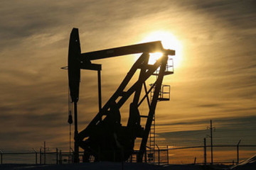 Petroleo24