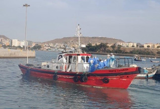 Imagen de la evacuación de los pasajeros.