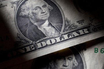 DOLAR31
