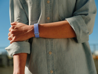 Fitbit Air