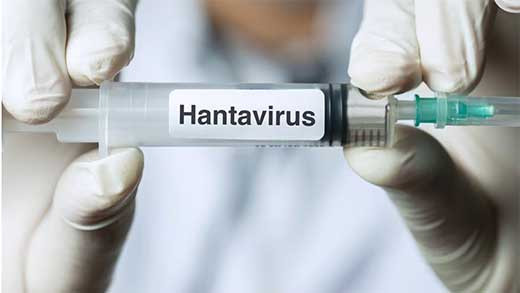 HANTA