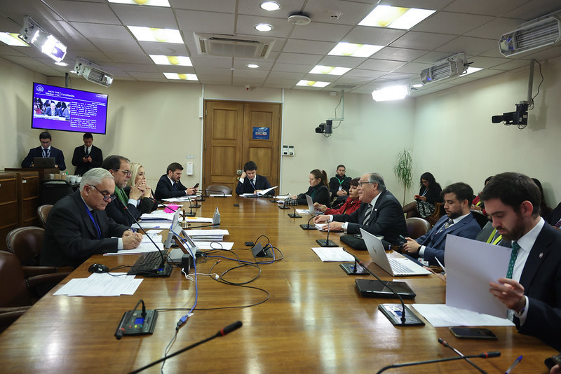 Constitucion control fitosanitario mayo 2026