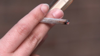 Archivo - Cigarro de tebaco de liar.