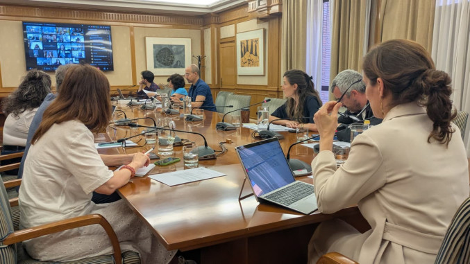 CISNS aprueba criterios para distribuir 39 millones para acciones del Plan de Salud Mental y casi 18 en suicidio