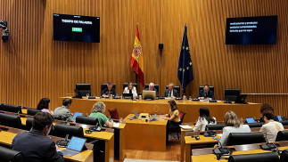 Imagen de  la Subcomisión relativa al estudio de la situación del sector veterinario en el Estado español de la Comisión de Sanidad.