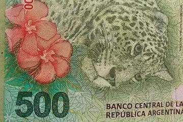 Peso Argentino5(1)