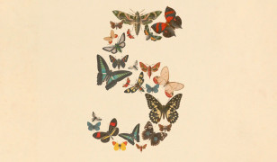 Imagen de Claude Fable 5