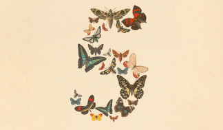 Imagen de Claude Fable 5