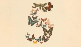 Imagen de Claude Fable 5