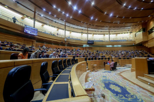 Archivo - Vista general de una sesión plenaria, en el Senado, a 18 de junio de 2024, en Madrid (España). Durante el pleno, se han tratado temas como la certificación de productos sanitarios. Ademá