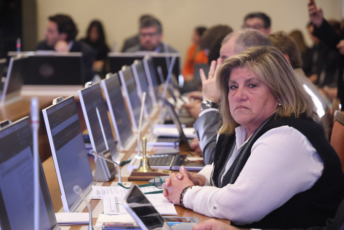 Diputada Gloria Naveillan en el debate del proyecto que crea Registro de Actos Vandalicos e Incivilidades en la Comision de Seguridad Ciudadana