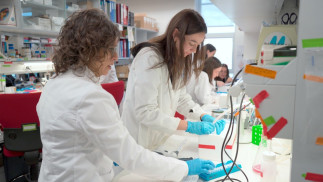 Una conexión defectuosa entre cerebro e hígado podría ser causa de un fallo en el crecimiento infantil, según un estudio